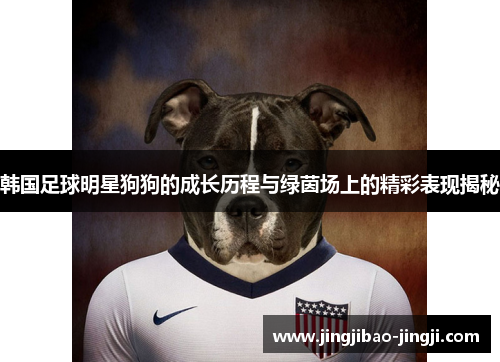 韩国足球明星狗狗的成长历程与绿茵场上的精彩表现揭秘